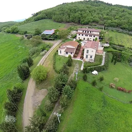 Vigneto Rimaggio * Dicomano
