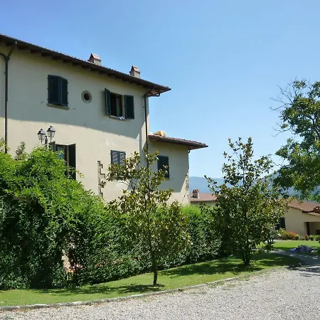 Vigneto Rimaggio * Dicomano